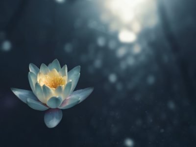 zoltan-tasi-vHnVtLK8rCc-unsplash